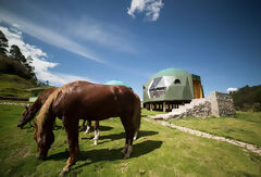 Luxuary geodesic dome